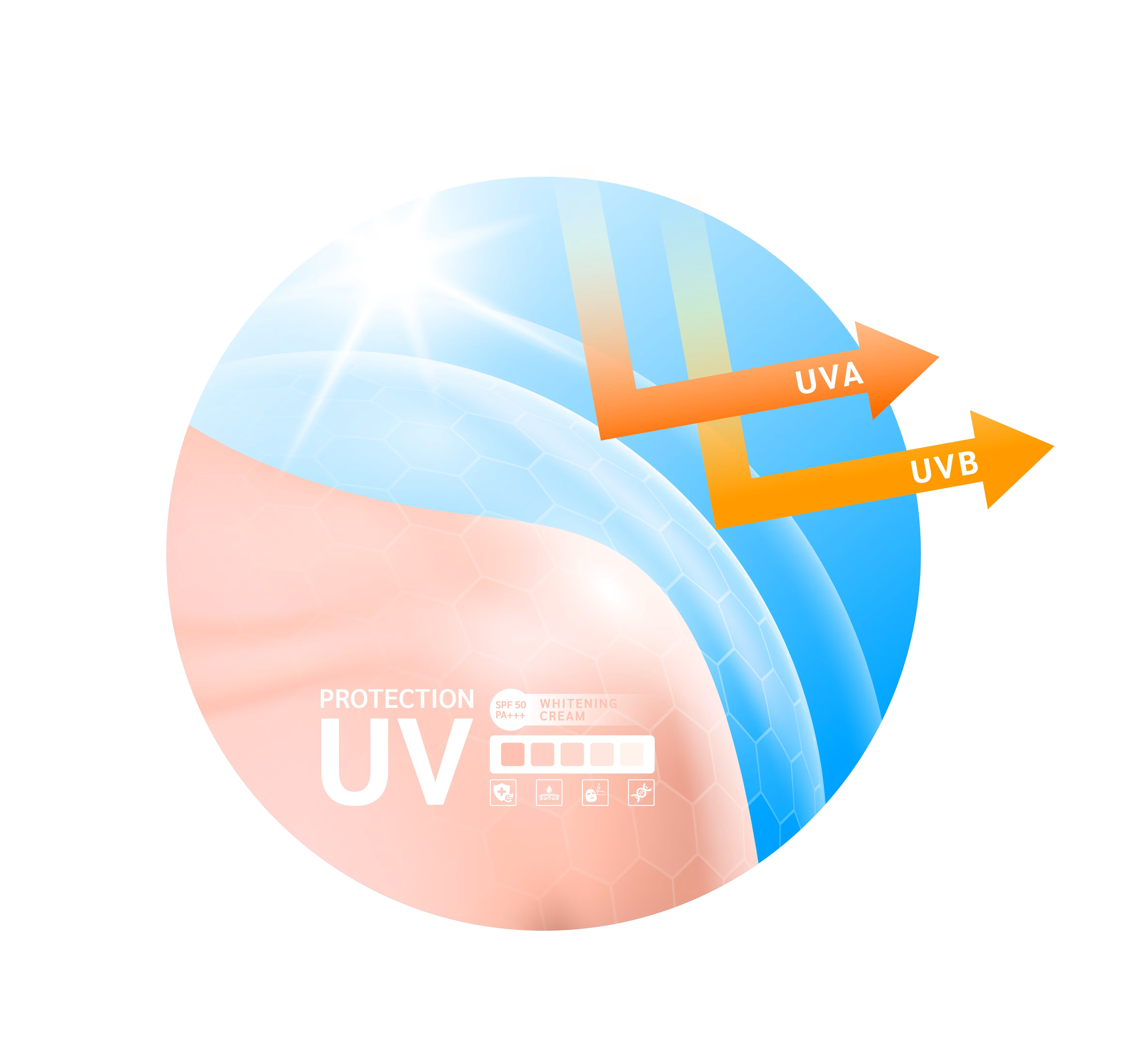 防曬資訊圖，展示美白霜防護 UVA、UVB 的效果與產品特點。
