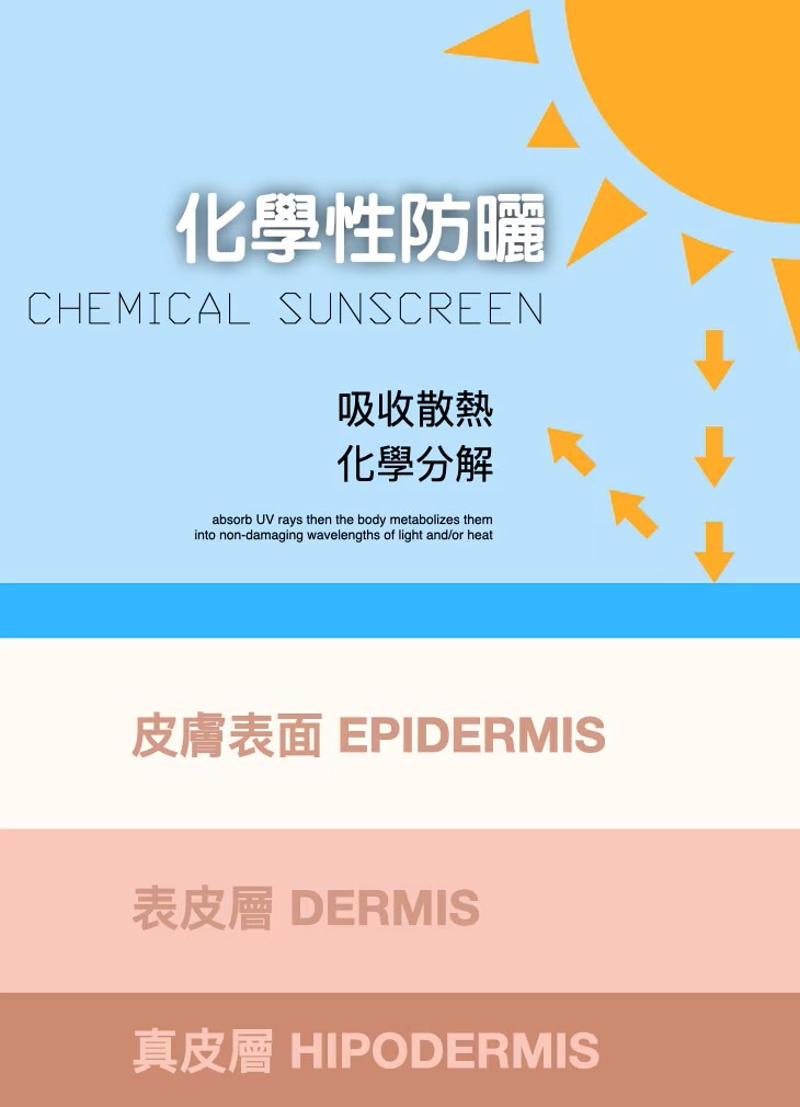 化學性防曬資訊圖，展示紫外線被吸收並轉化為熱能的過程，並標示皮膚表面、表皮層與真皮層的結構，中英文說明並列。