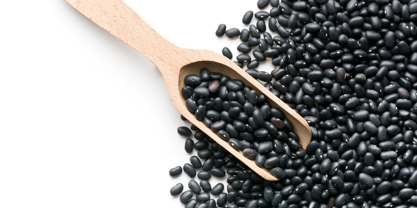 black beans in scoop on white background