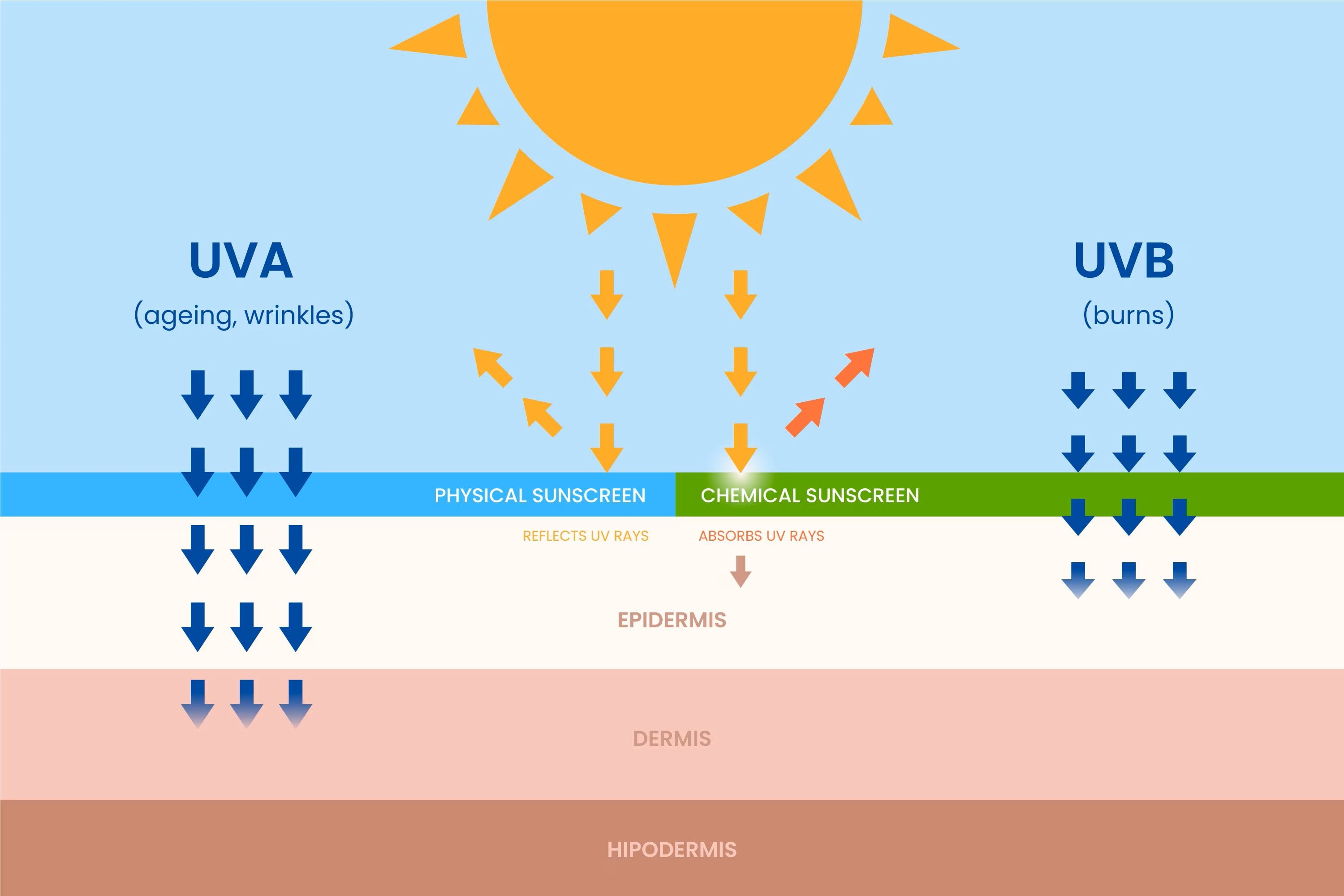 
資訊圖比較物理性與化學性防曬，展示 UVA 和 UVB 對皮膚不同層的影響，以及兩種防曬方式的防護機制。
